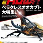 BEKUWA ビークワ　54〜84セット ビークワ54号（BE・KUWA） 世界のコクワガタ大特集!!